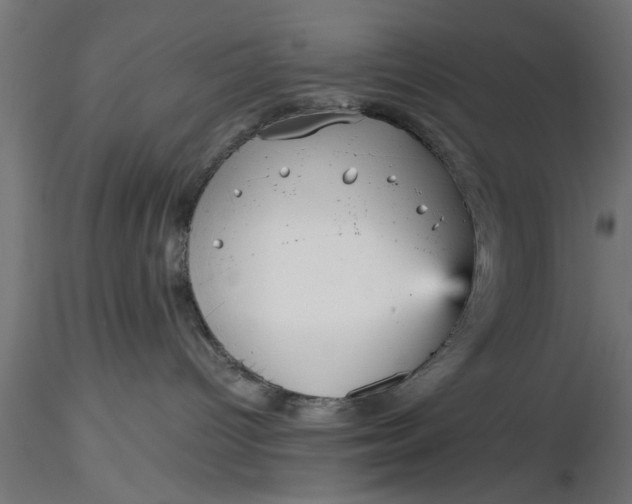 X0000116850096201001051515