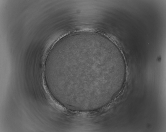 X0000116850097201001051514