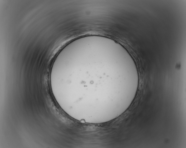 X0000116850098201001051514