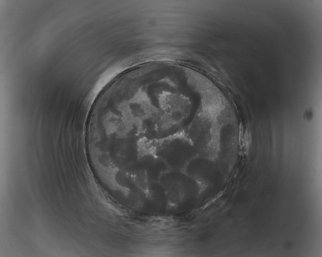 X0000116850099201001051514