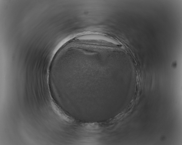 X0000116850100201001051514