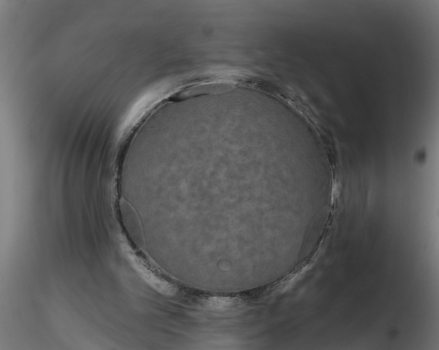 X0000116850101201001051514