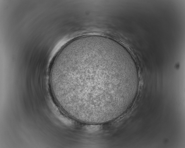 X0000116850102201001051514