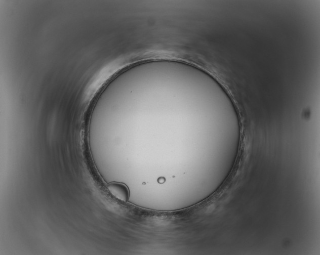 X0000116850103201001051514