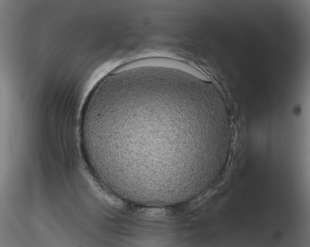 X0000116850104201001051514