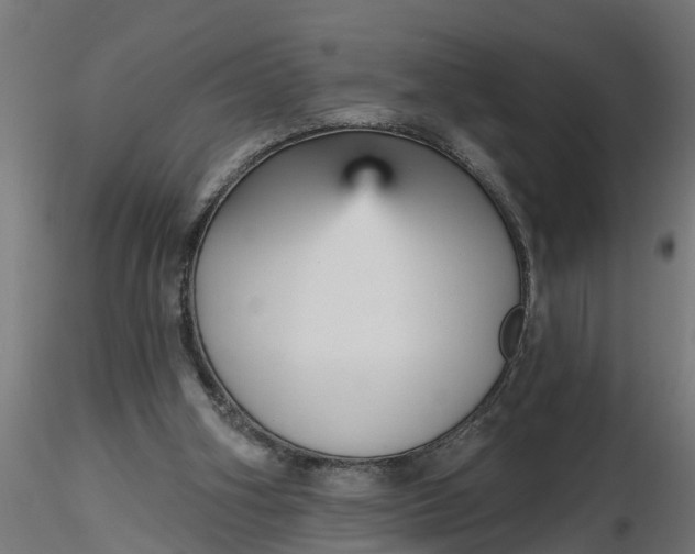 X0000116850106201001051514