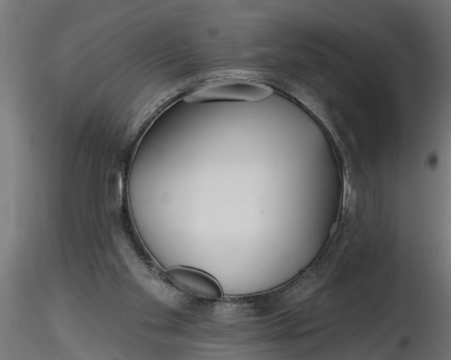 X0000116850109201001051514