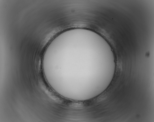 X0000116850110201001051514