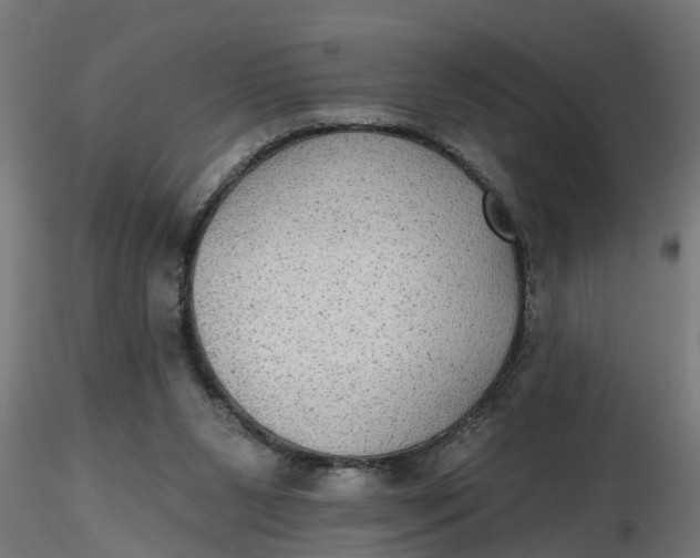 X0000116850111201001051514