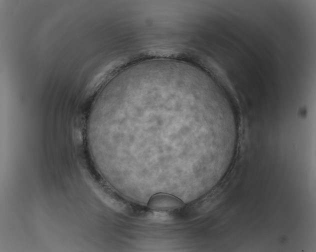 X0000116850114201001051514