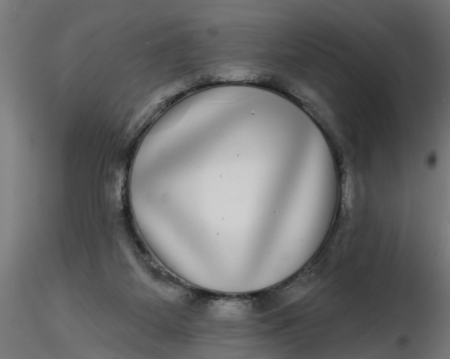 X0000116850115201001051514