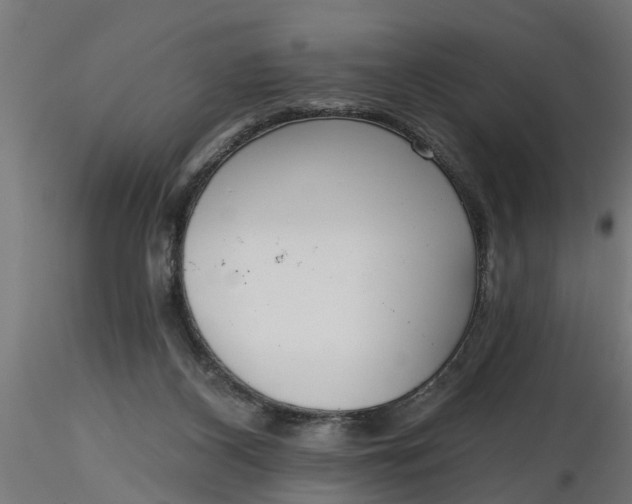 X0000116850116201001051514