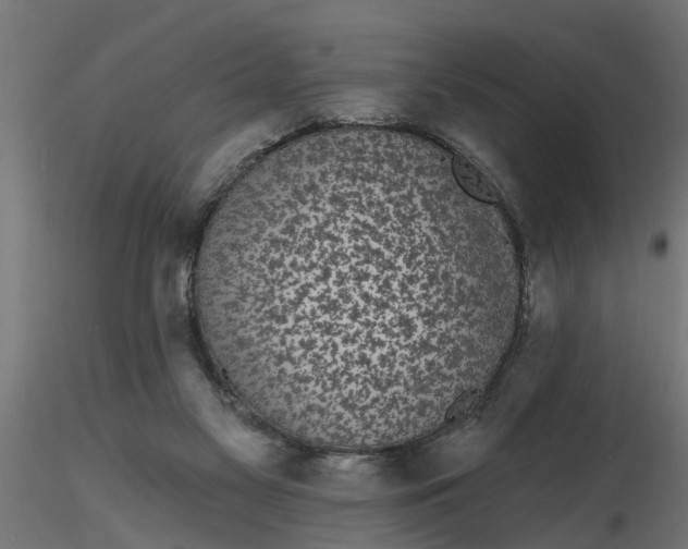 X0000116850117201001051514