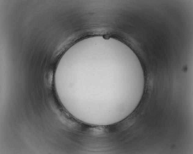 X0000116850118201001051514