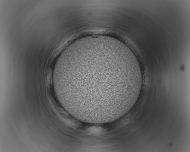 X0000116850119201001051514