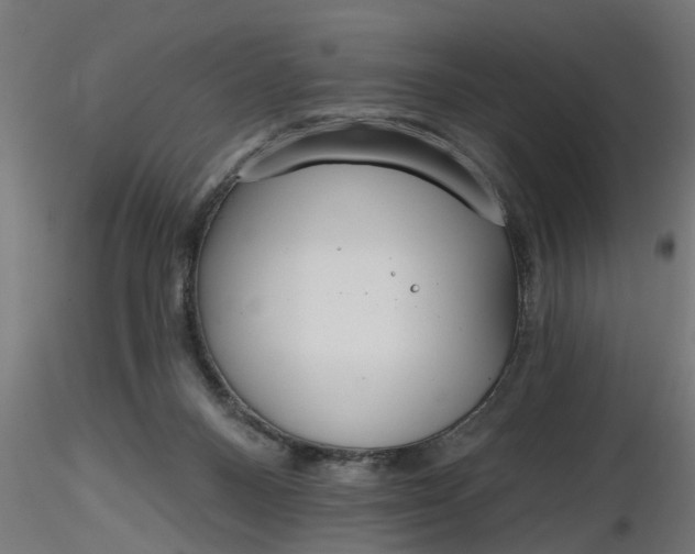 X0000116850120201001051514