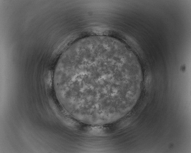 X0000116850121201001051514