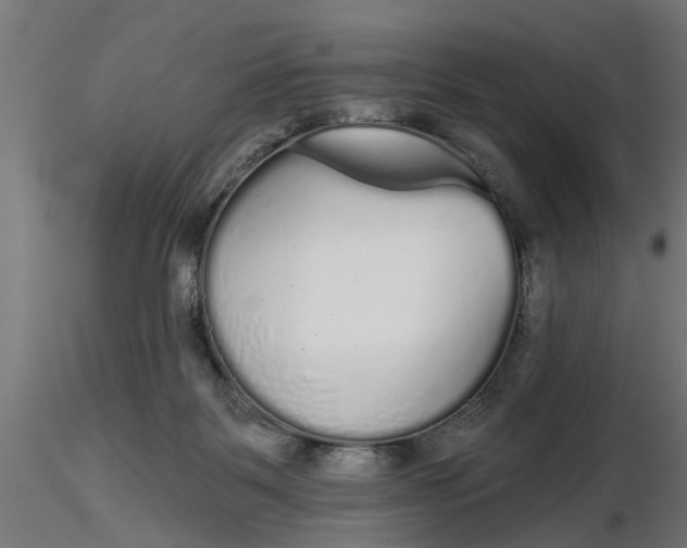 X0000116850123201001051514