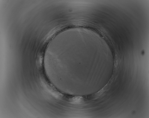 X0000116850124201001051514