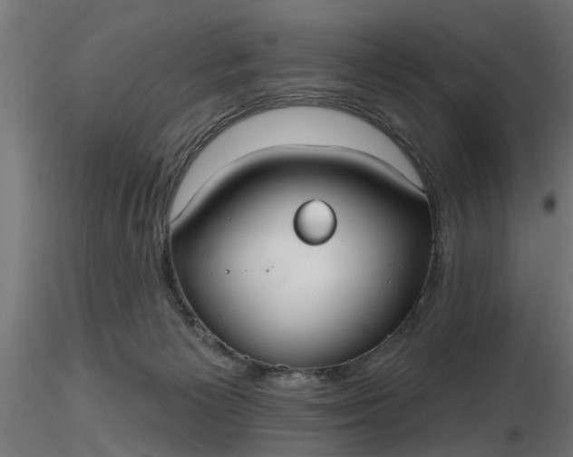 X0000116850125201001051514