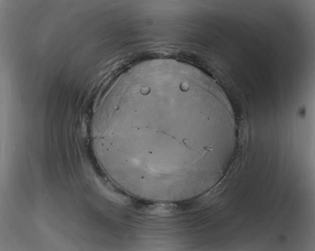 X0000116850128201001051514