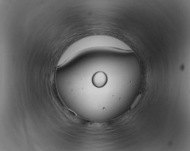 X0000116850129201001051514