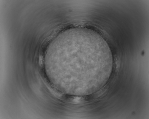 X0000116850130201001051514