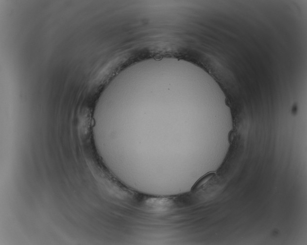 X0000116850133201001051514