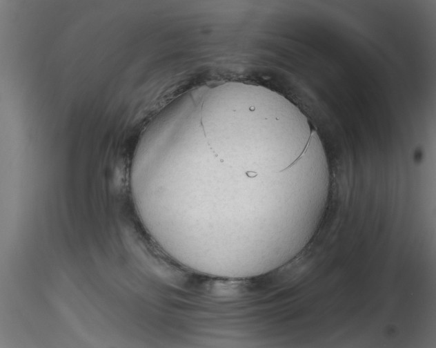 X0000116850134201001051514