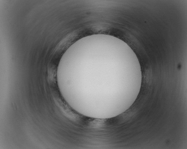 X0000116850138201001051514