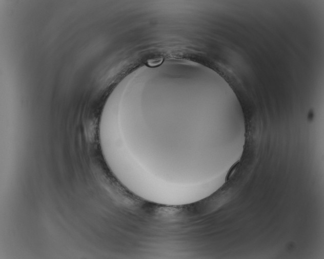 X0000116850139201001051514