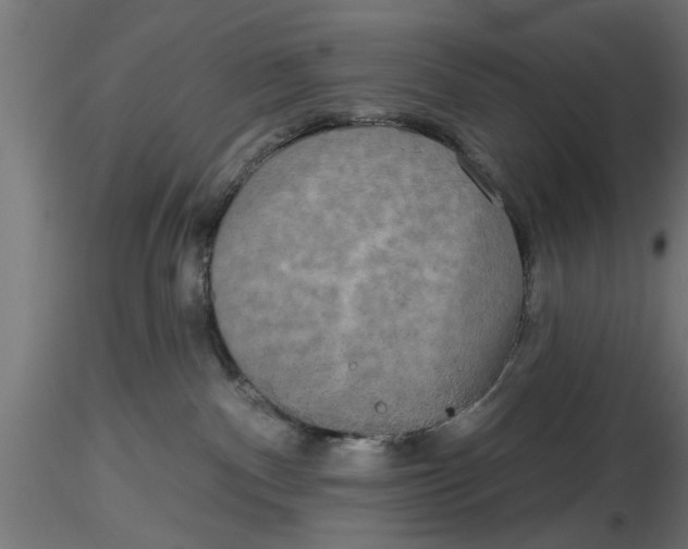 X0000116850140201001051514