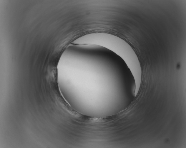 X0000116850141201001051514