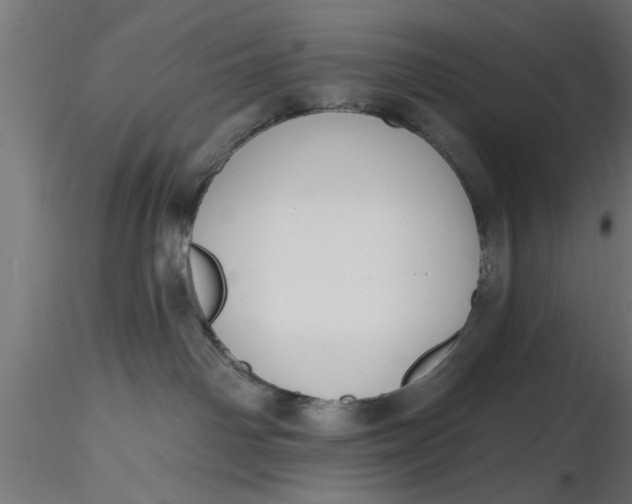 X0000116850142201001051514