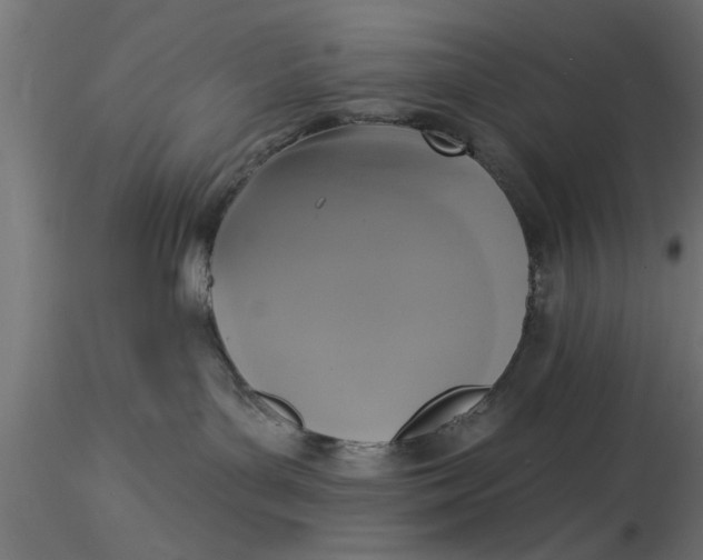 X0000116850143201001051514