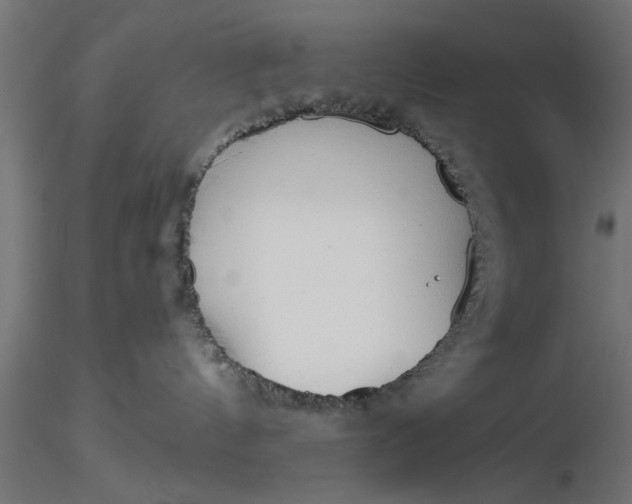 X0000116850144201001051514