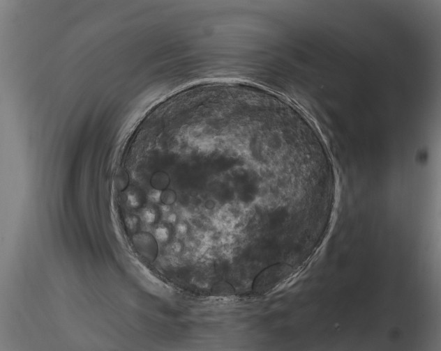 X0000116850145201001051513