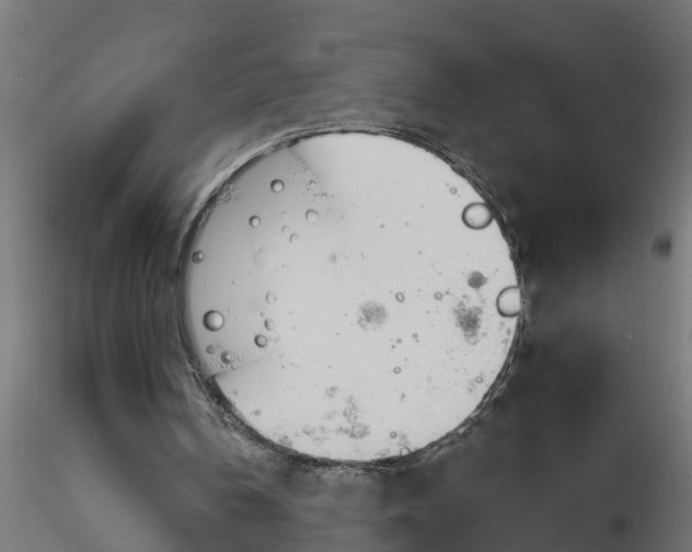 X0000116850146201001051513