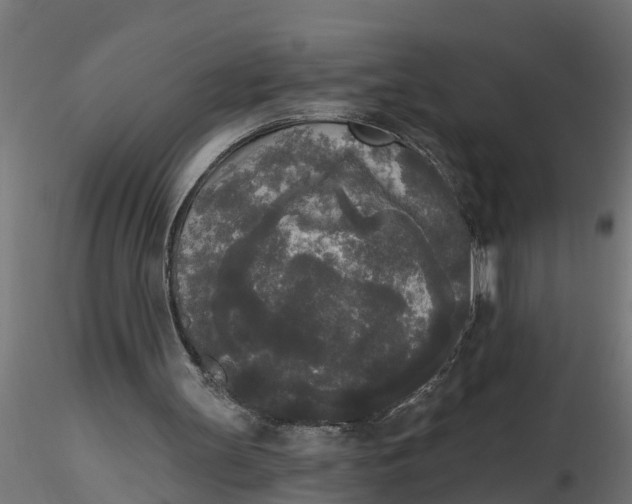 X0000116850147201001051513