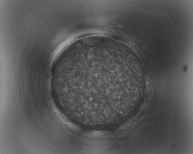 X0000116850149201001051513