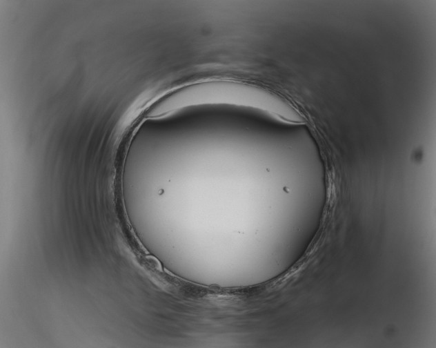 X0000116850150201001051513