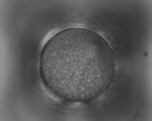 X0000116850151201001051513