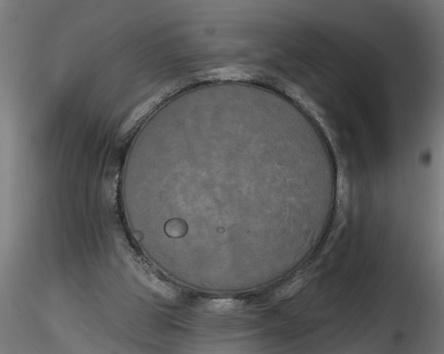 X0000116850153201001051513