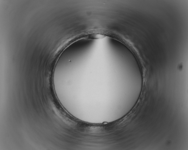 X0000116850154201001051513