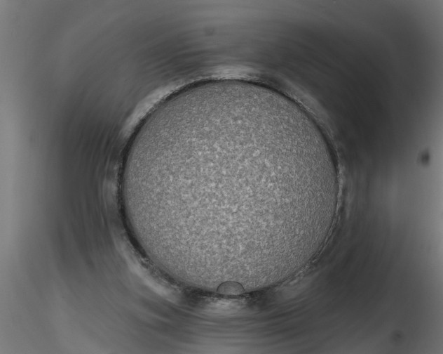 X0000116850155201001051513