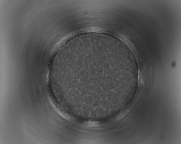 X0000116850157201001051513