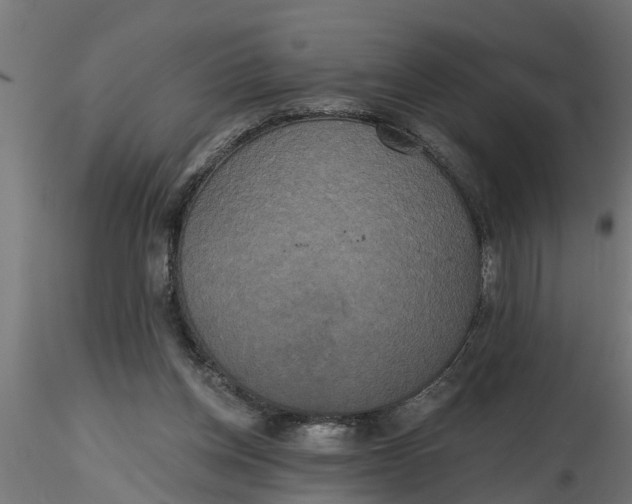 X0000116850158201001051513