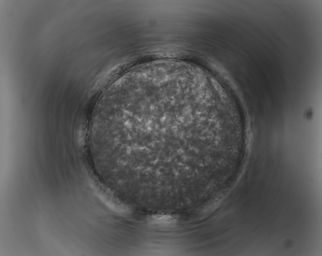 X0000116850161201001051513