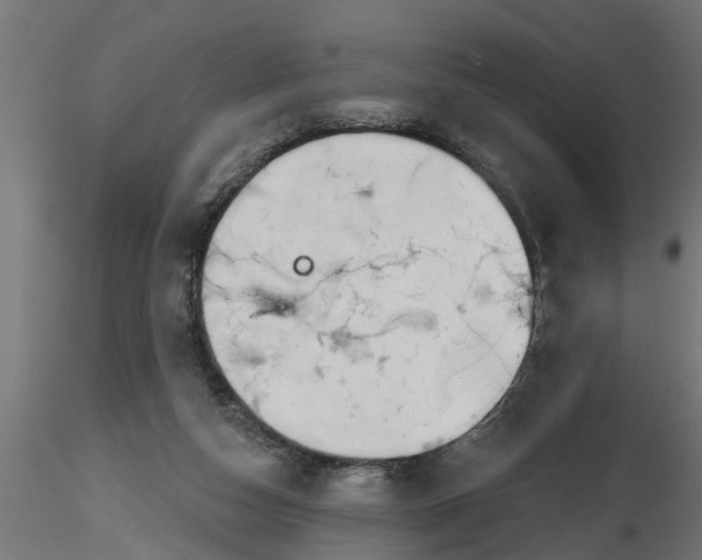 X0000116850162201001051513