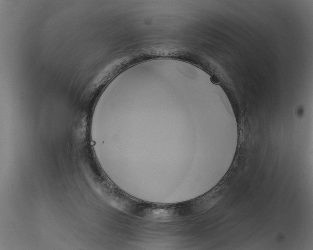 X0000116850163201001051513